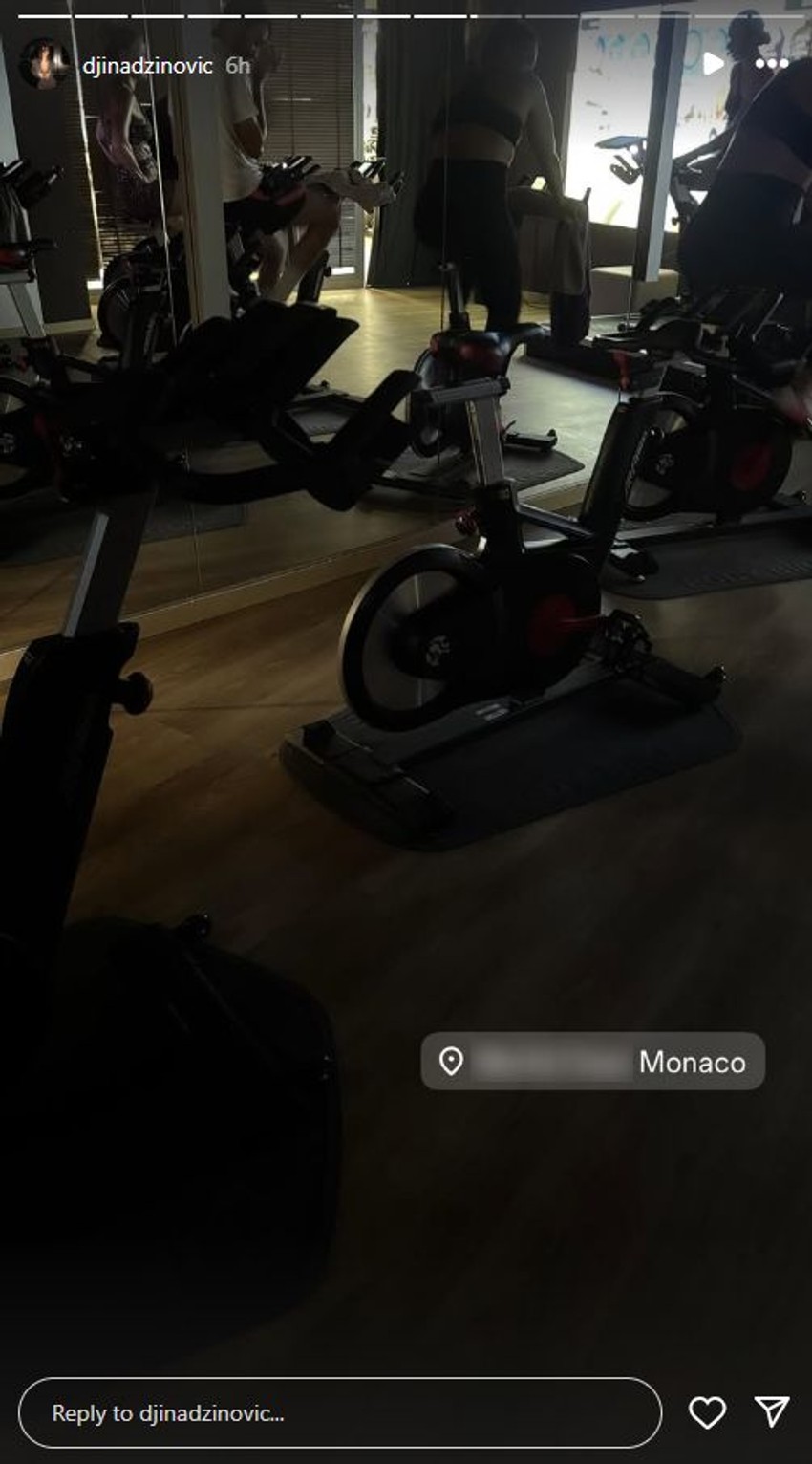 Đina Džinović, objava