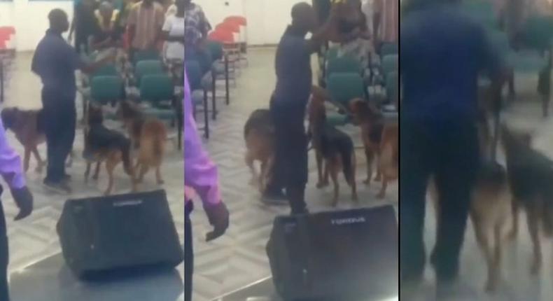 Angry man storms church during prayer and tongue-speaking with 3 wild dogs