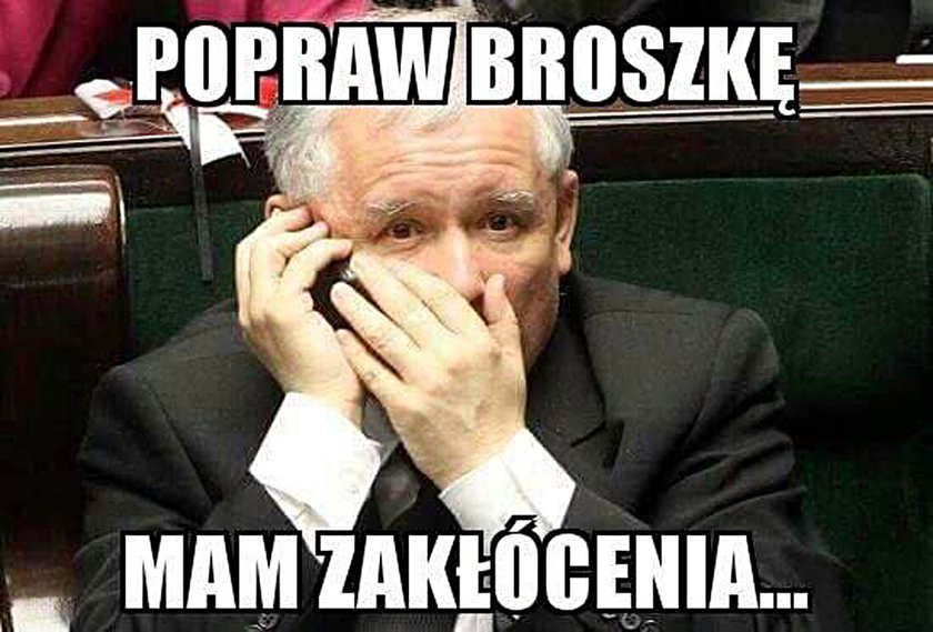 Nowe memy o rządzie