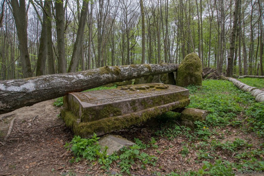 Zapomniany cmentarz Dohnów