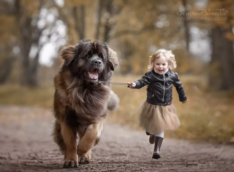 little-kids-big-dogs-photography-andy-seliverstoff-39-584fa951db6d6__880