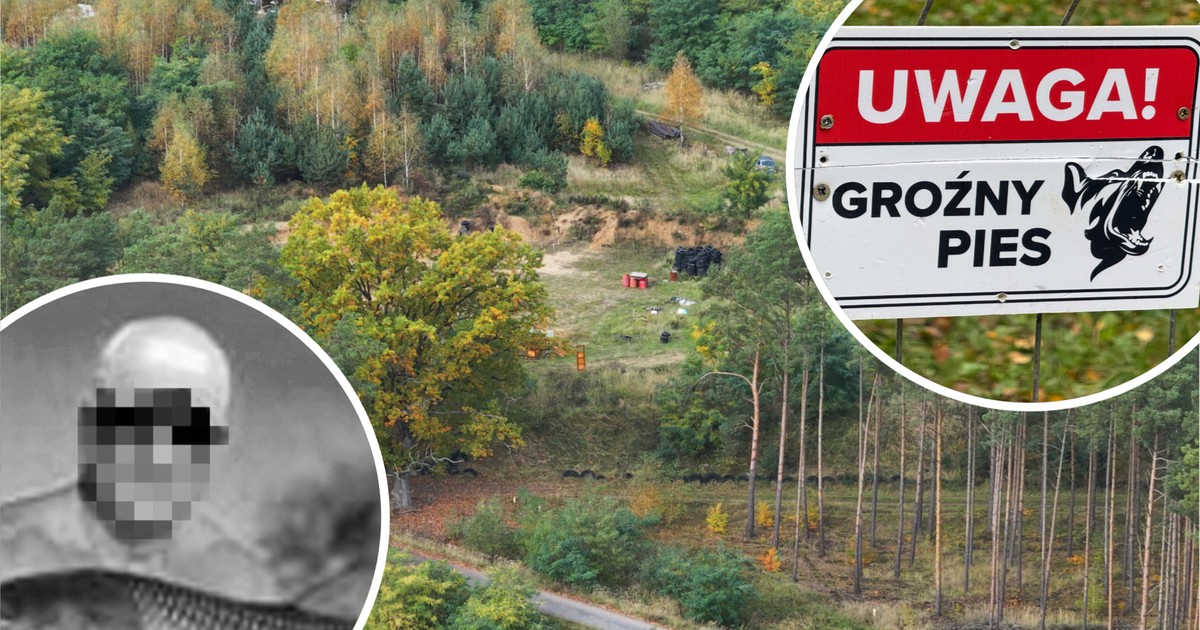 Psy, które zagryzły pana Marcina, wcześniej już atakowały ludzi. Zaskakujący wpis ich właściciela