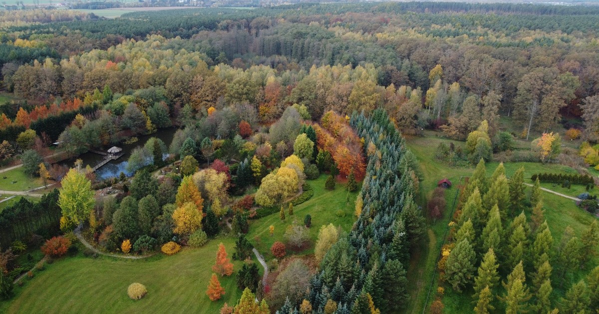 Dziadowa Kłoda. Urok dolnośląskiego pogranicza!