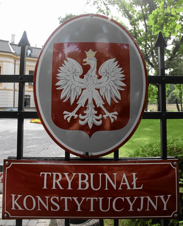 W zeszłym roku wpływ spraw do TK wyniósł 480 i był niemal identyczny jak w roku 2012 (486)