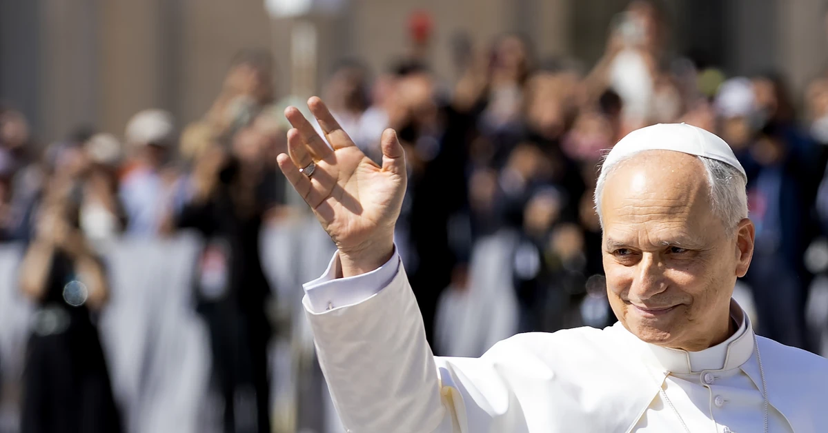 Papież Leon XIV o zmianach klimatu: "Nie ma miejsca na obojętność i rezygnację"