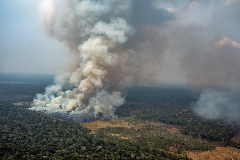 Pożary w Amazonii