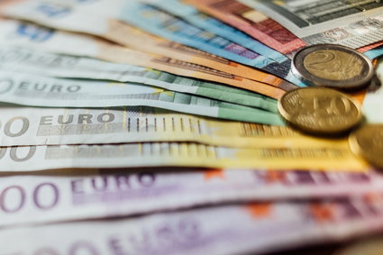 Minister rozwoju o euro w Polsce: to nieuzasadnione ekonomicznie