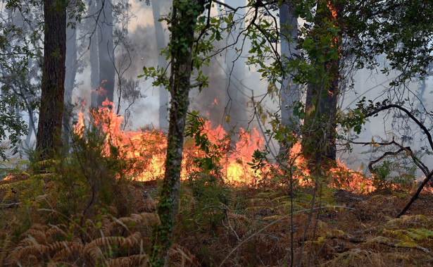 Wildfires in southwestern France