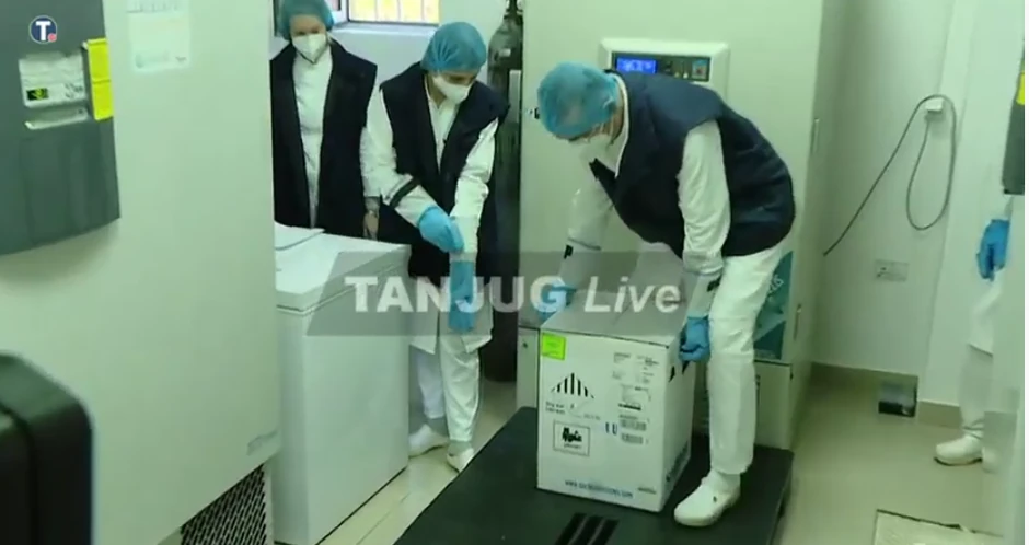 fajzerova vakcina torlak