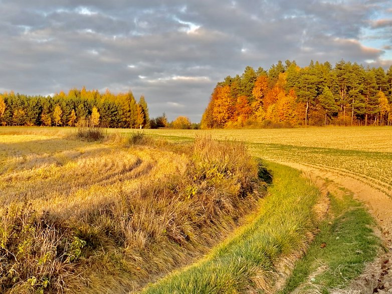 Rowerem po roztoczańskich polach