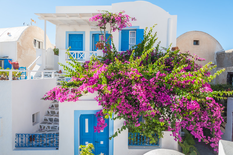 Grecja niebieski biały dom domy Traditiona,Home,With,Flowers,In,Oia,-,Santorini,-,Greece