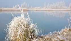 Tej nocy mróz uderzy najmocniej. Kiedy siarczysty mróz zawita do Polski? 