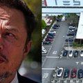 Musk znów beszta pracowników. "Oderwani od rzeczywistości"