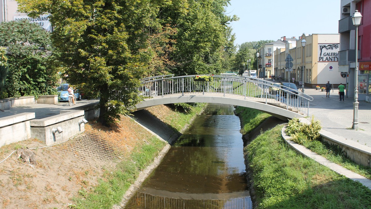 Kielce. Zanieczyszczona rzeka w centrum miasta. Strażacy w akcji