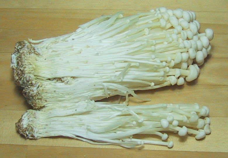 Płomiennica zimowa (enoki) wyhodowana w komercyjnej uprawie