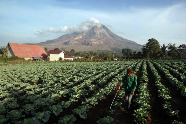 Wulkan Sinabung wybuchnie? Tysiące ewakuowanych w Indonezji