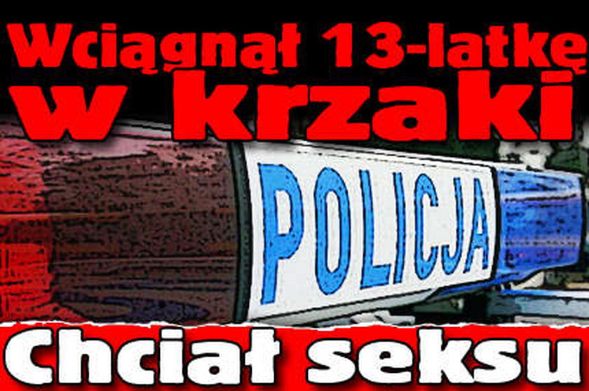 Wciągnął 13-latkę w krzaki. Chciał seksu