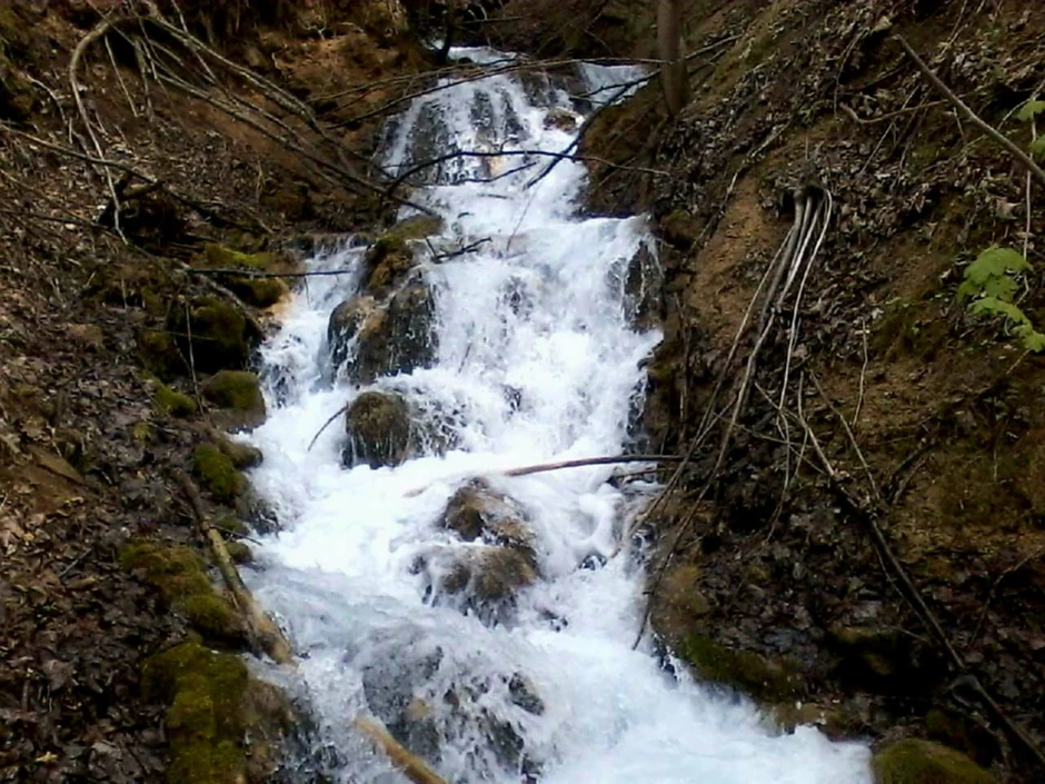 Ropot, čudo prirode