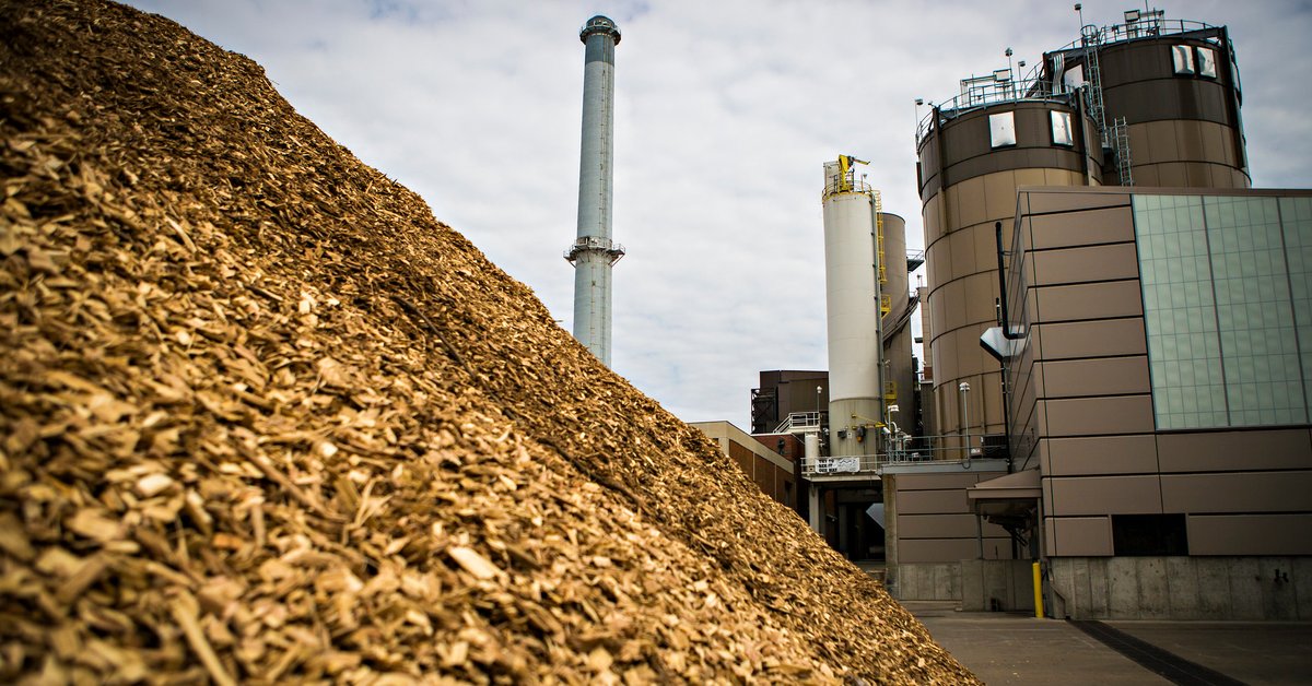Polska wyda krocie na import pelletu. "Beneficjentem będzie Putin"