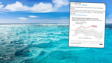 Groźny rekord w światowych oceanach. Na Florydzie "woda jak w wannie z hydromasażem"