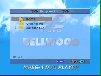 Bellwood DVD 301 - odtwarzacz DVD/DivX za rozsądną cenę