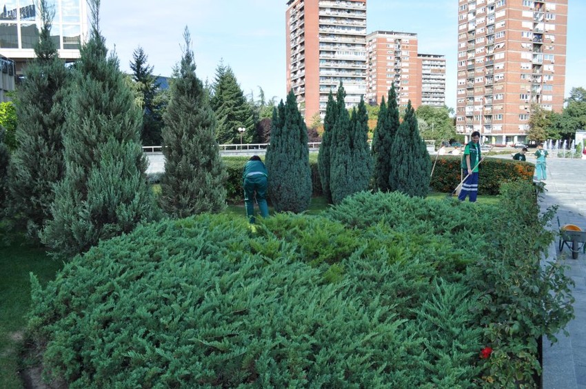 Novi Sad do kraja godine dobija 80 zelenih urbanih džepova