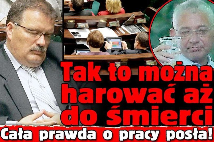 Komputerek, piwko, drzemka... Cała prawda o pracy posła