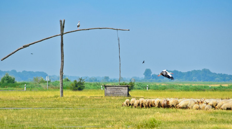 A Hortobágyon élők ma is őrzik a régi pásztor- és csikóshagyományokat / Fotó: Magyar Turisztikai Ügynökség