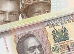 Nigeria and Kenya suffer their worst currency hits in over 20 years with no hope in sight