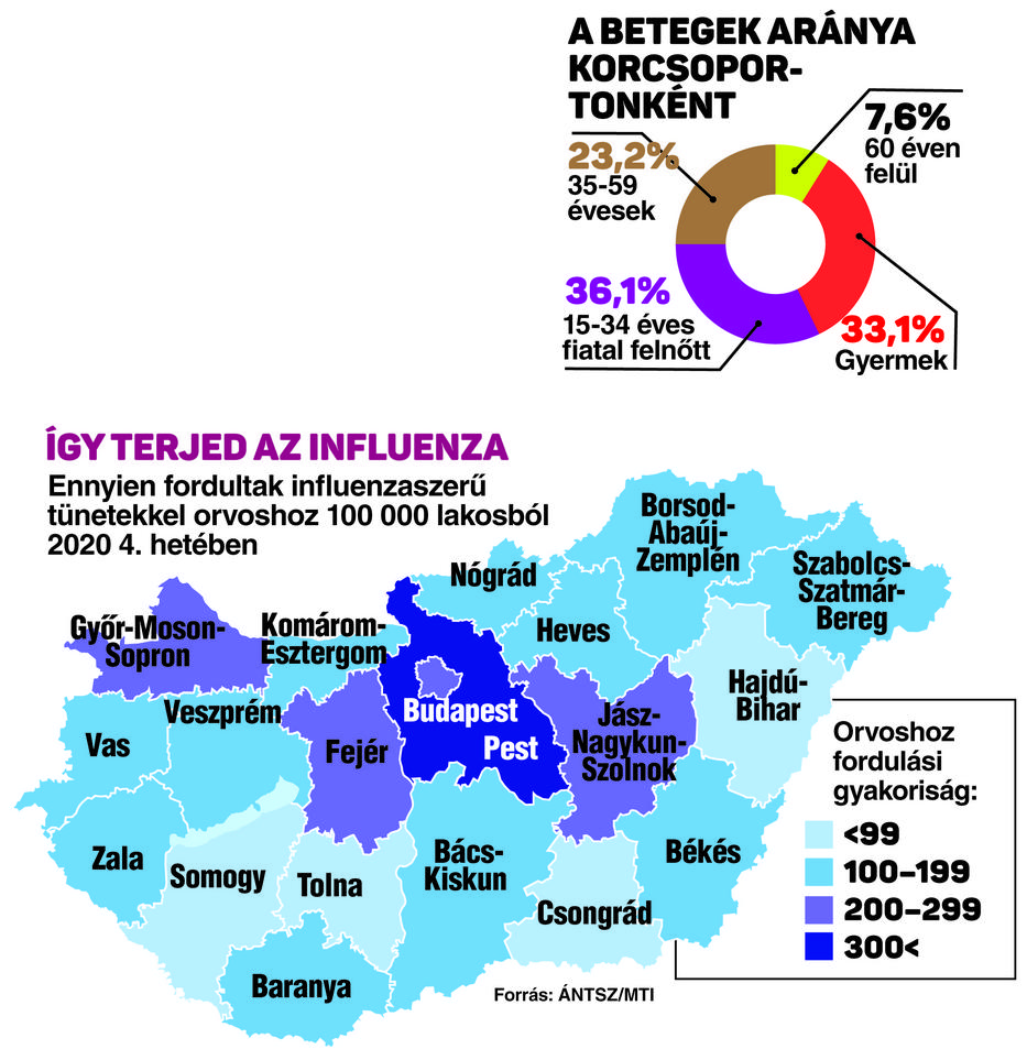 Grafikánkon az influenza terjedése és kormegoszlása. 