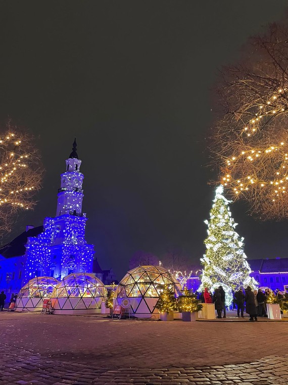 Expoziție în Kaunas