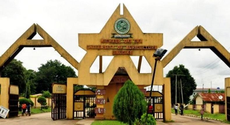 At the Michael Okpara University of Agriculture in Abia State, the security operatives in the school reportedly apprehended a suspected secret cult member who was found with incriminating items.