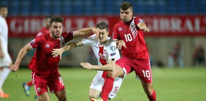 Student, budowlaniec, bibliotekarz i strażak – to z nimi Polacy zagrają o Euro 2016!