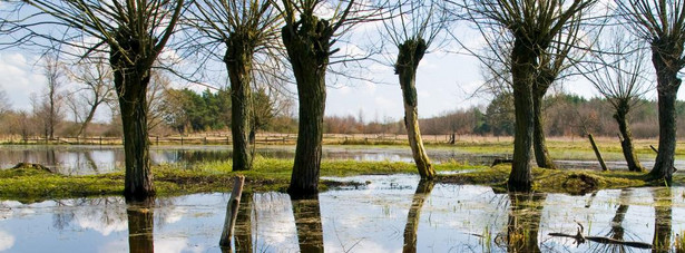 Kampinoski Park Narodowy