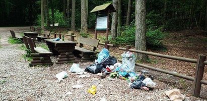 Leśnicy z Pomorza biją na alarm: Z lasów robi się śmietniska!