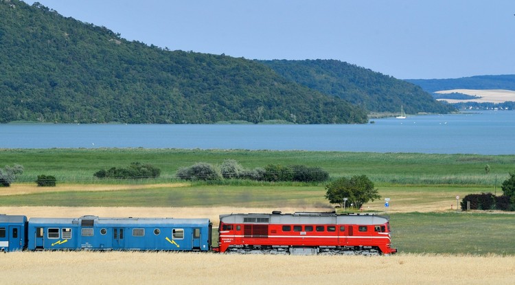 Egy eredeti színűre festett M62-es dízelmozdony vontatja korhű gyorsvonatát Örvényesnél a Balaton mellett egy retró hétvégén, 2021-ben