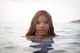 Halak – Ariel