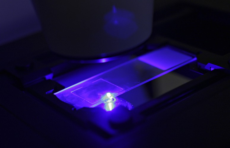 Ma zapewnić wzrost przemysłu. Temu ma służyć, m.in. wypracowanie partnerstwa dla strategicznych działów gospodarki, wsparcie dla klastrów czy dolin przemysłowych, ale także promocja inwestycji zagranicznych. Polska gospodarka w znacznie większym mniejszym stopniu niż dziś miałaby być gospodarką imitacyjną, czyli absorbującą zagraniczne rozwiązania, a w większym produkującą produkty innowacyjne w różnych sferach od leków, przez przemysł lotniczy, stoczniowy czy spożywczy.