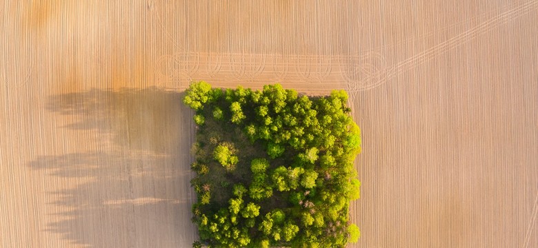 Niezwykłe zdjęcia Polski z lotu ptaka, czyli projekt Wojciecha Radwańskiego "Polska górą!" [FOTO]