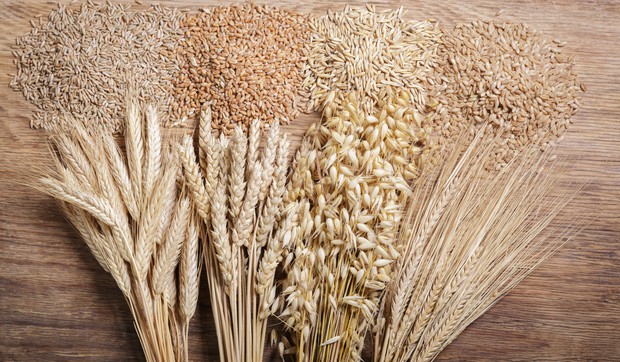 Pad cena poljoprivrednih proizvoda na Produktnoj berzi