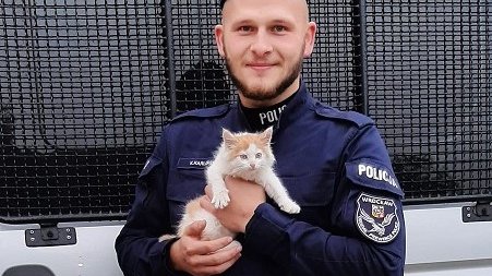 Policjanci uratowali małego kota