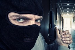 Samosąd z bezsilności. Trzej oszukani klienci, by odzyskać pieniądze wyręczyli śledczych