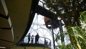 People tour the new Amazon Spheres, seen from the main floor, during an opening event at Amazon's Seattle headquarters in Seattle, Washington, U.S., January 29, 2018.LINDSEY WASSON/Reuters