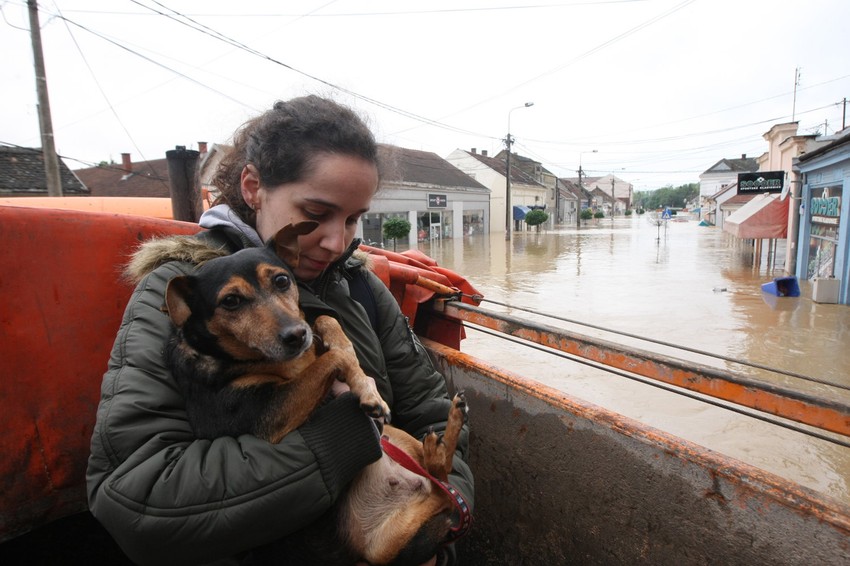 Između pasa i njihovih vlasnika vlada jaka emotivna veza