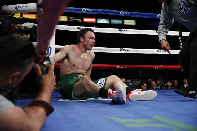 Fonfara wygrał z Chavezem Jr. przez techniczny nokaut