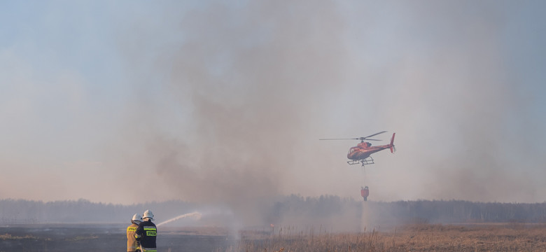 Dromadery nad Biebrzańskim Parkiem Narodowym. Strażacy opanowali pożar
