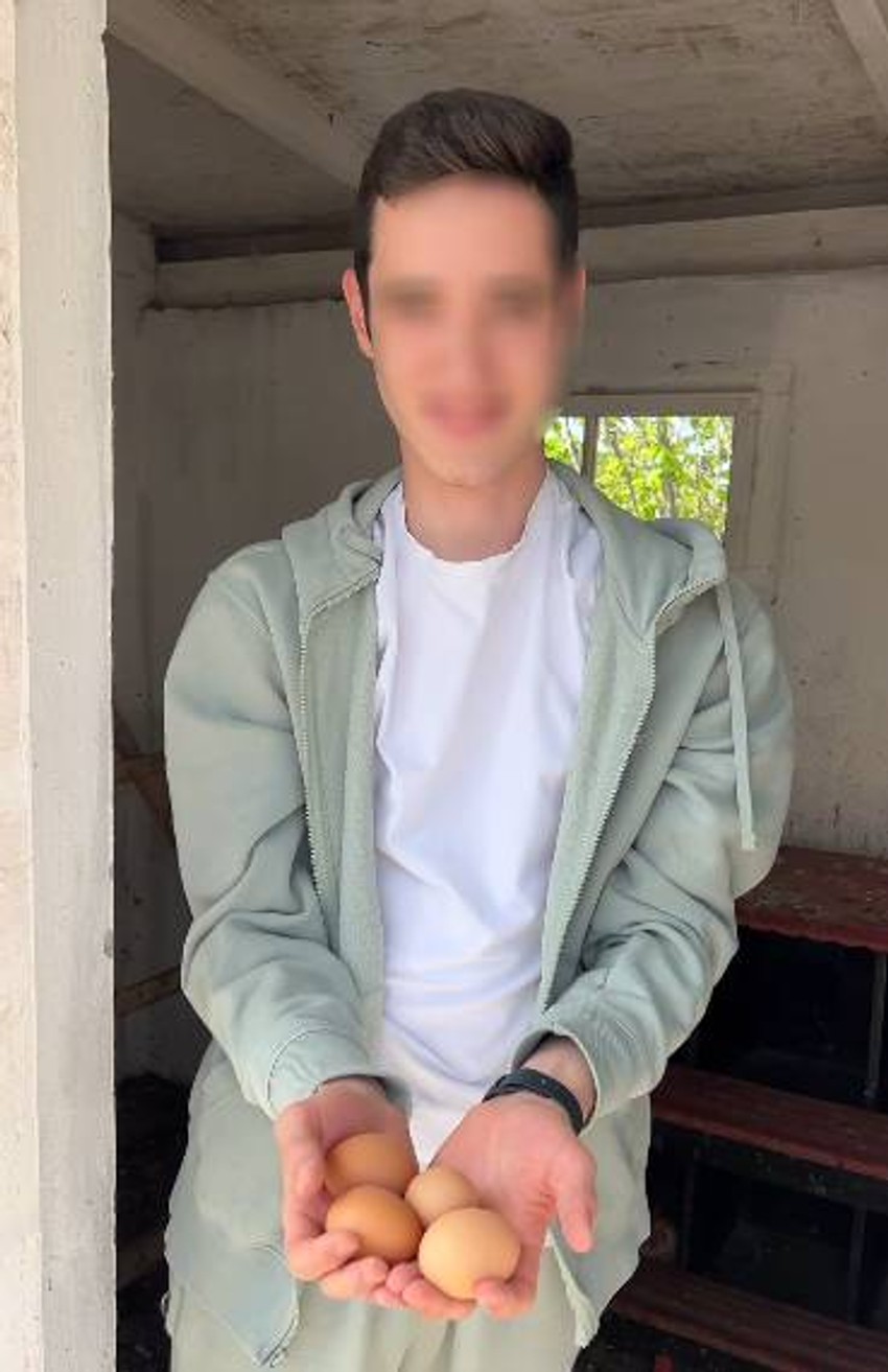 Branko Babić, objava