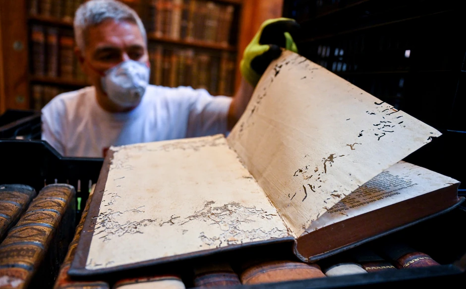 Insekti napadaju knjige