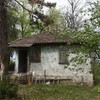  Koraćica
