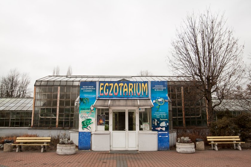 Egzotarium w Sosnowcu